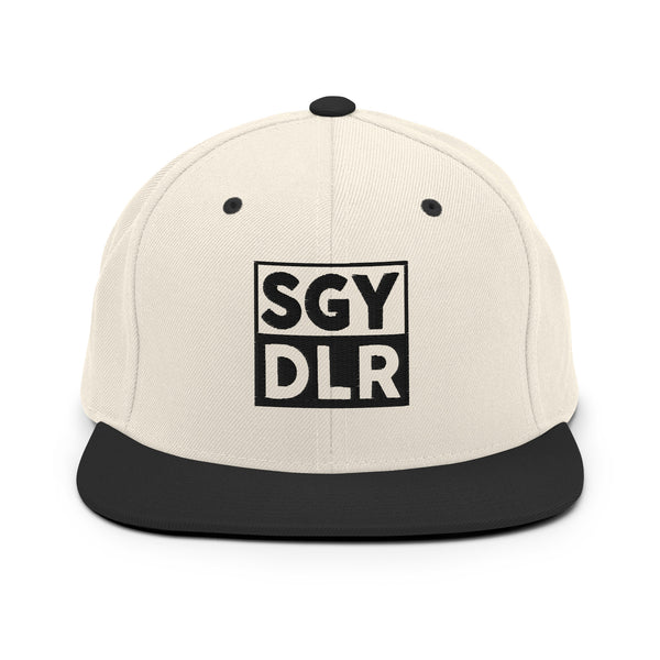 Soggy Brooklyn Snapback