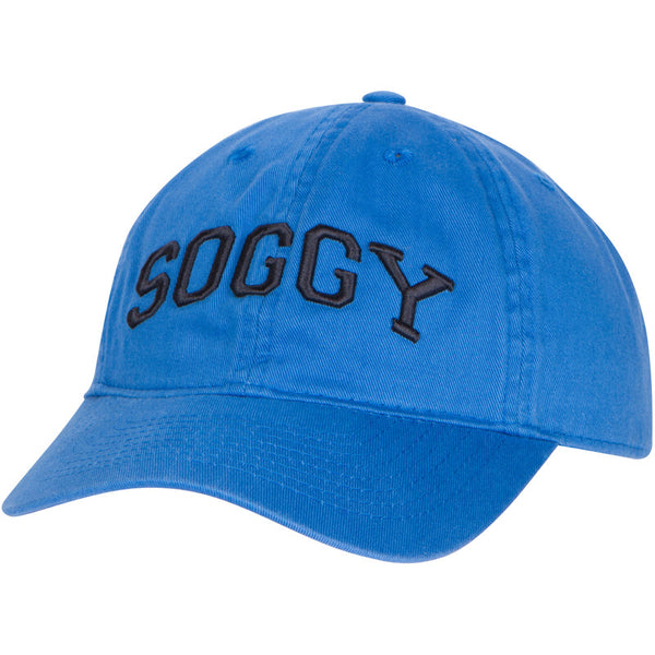 The Collegiate Youth Hat