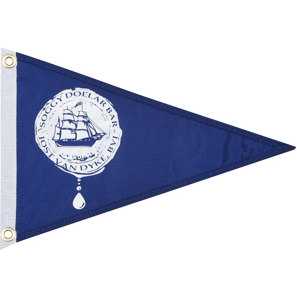 Coin Drip Flag